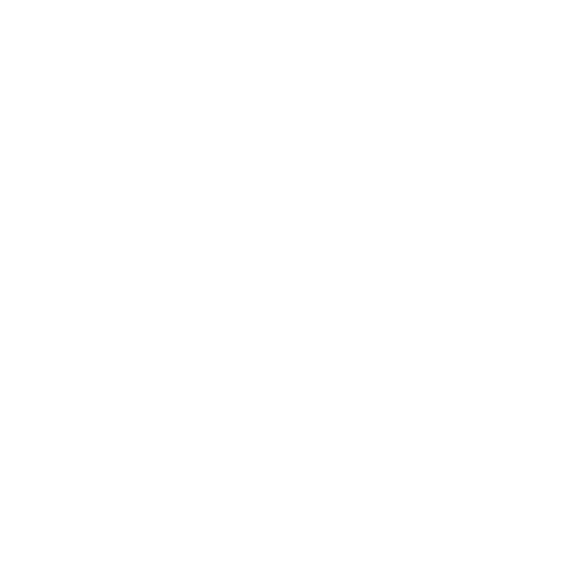 Jayspt logo wit
